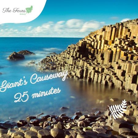 Armoy The Ferns-Ideal Base For Exploring The Causeway Coast מראה חיצוני תמונה