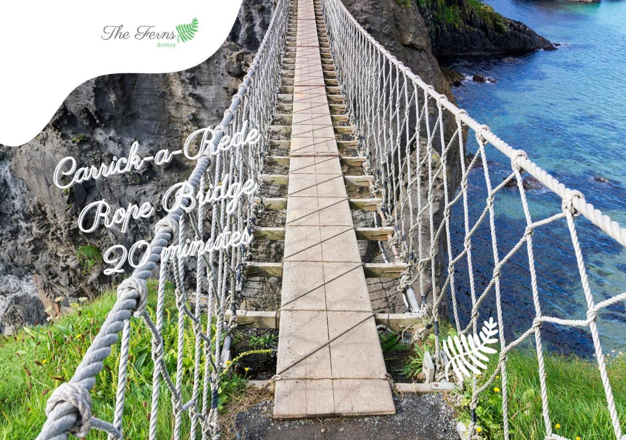 Armoy The Ferns-Ideal Base For Exploring The Causeway Coast מראה חיצוני תמונה