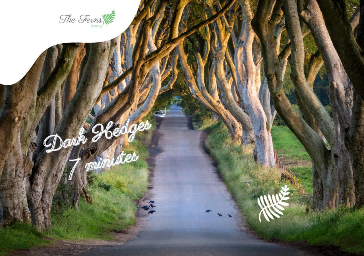 Armoy The Ferns-Ideal Base For Exploring The Causeway Coast מראה חיצוני תמונה