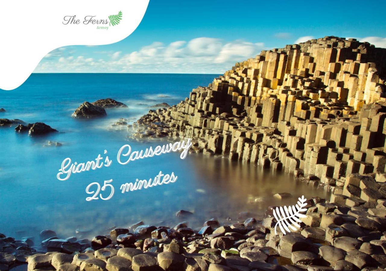 Armoy The Ferns-Ideal Base For Exploring The Causeway Coast מראה חיצוני תמונה